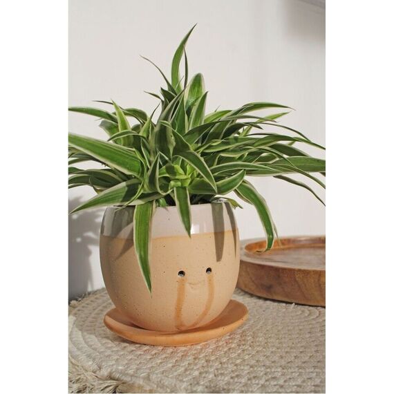 Winkee - Crying Plant Pot - Planter / Gadgets