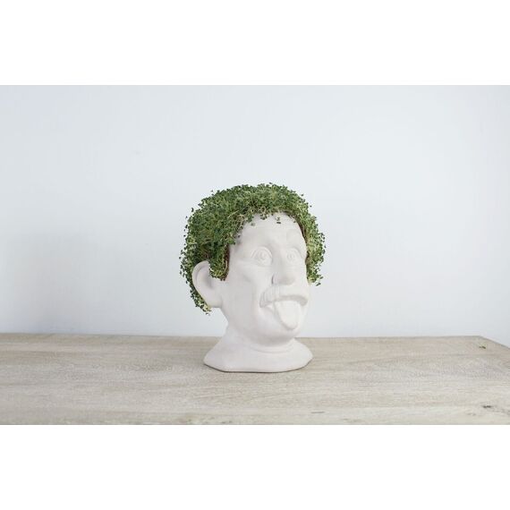 Winkee - Genius Chia Planter - Compact / Gadgets