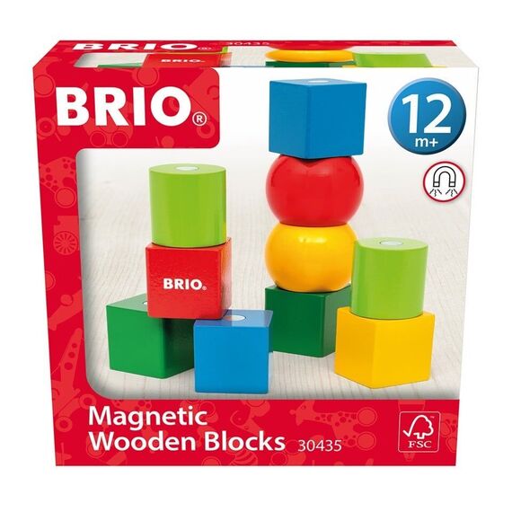 BRIO - Magnetic Wooden Blocks - 30435 / Toys