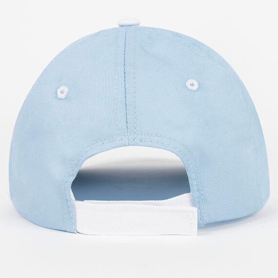 Bluey assorted cap |  Techbox
