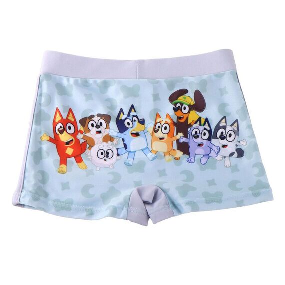 Bluey boxer swimwear
