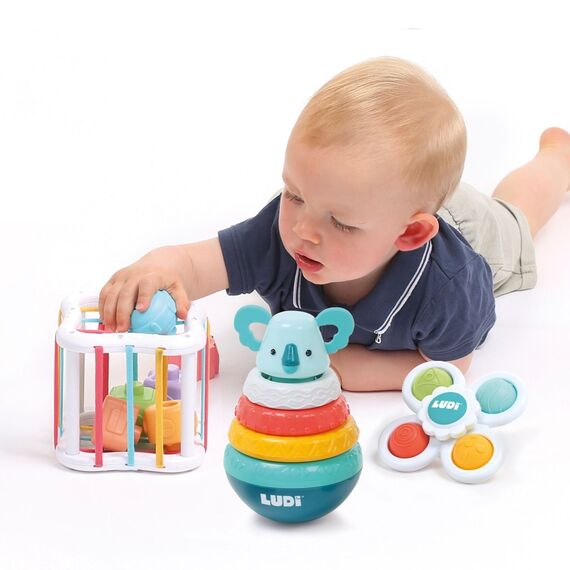 Ludi - Manipulation box with accessories - LU30125 / Toys