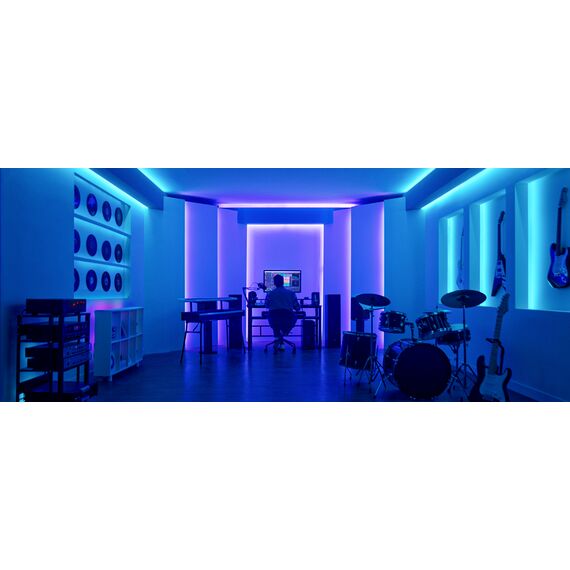 Govee - RGBIC Basic Wi-Fi + Bluetooth LED Strip Lights (10 Meter) / Electronics
