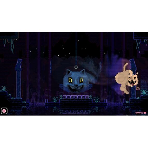 Animal Well (Import/Multi in Language) / Nintendo Switch - Nintendo Switch Games - Games - Techbox
