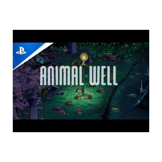 Animal Well (Import/Multi in Language) / PlayStation 5 - PS5 Games - Games - Techbox
