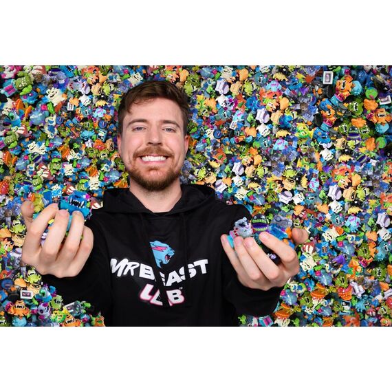 MR. BEAST LAB - Swarms 5pk (20350) / Toys