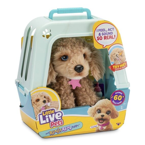 Little Live Pets - My Really Real Puppy - Curley (26612) / Toys