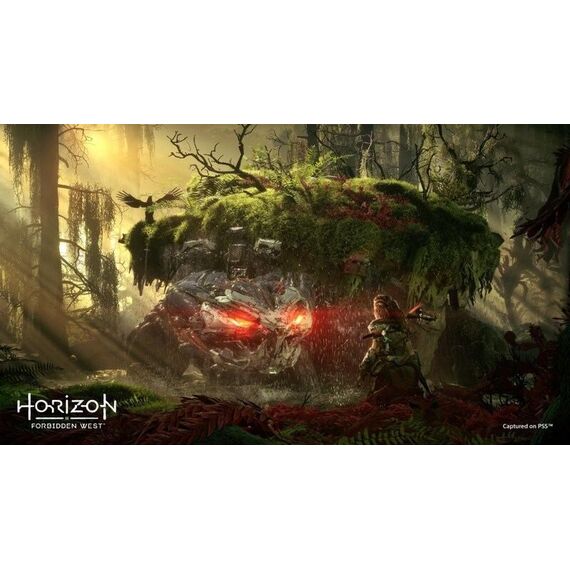 Horizon Forbidden West (UK/AR) / PlayStation 4 - PS4 Games - Games - Techbox