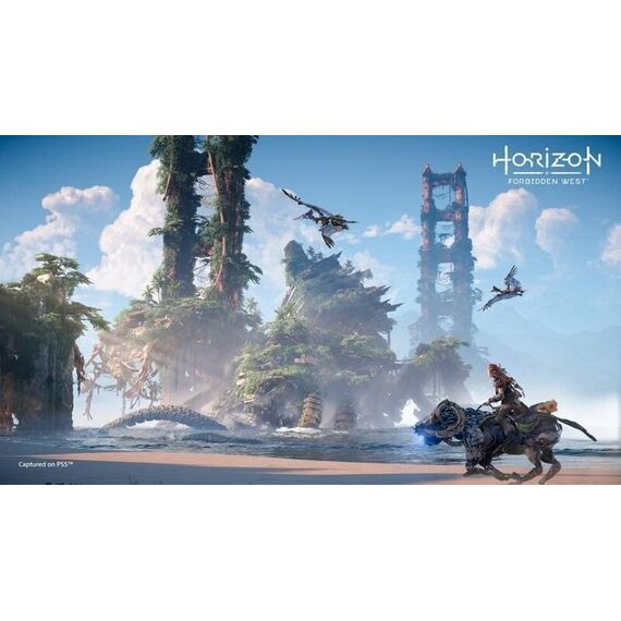 Horizon Forbidden West (UK/AR) / PlayStation 4 - PS4 Games - Games - Techbox