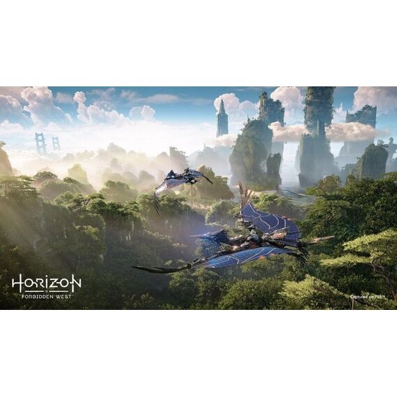 Horizon Forbidden West (UK/AR) / PlayStation 4 - PS4 Games - Games - Techbox