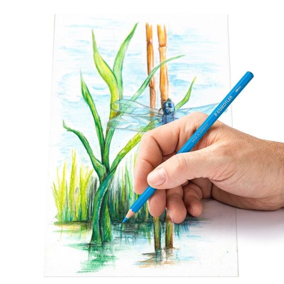 Staedtler - Watercolor colored pencil, 24 pcs (14610C M24) / Toys
