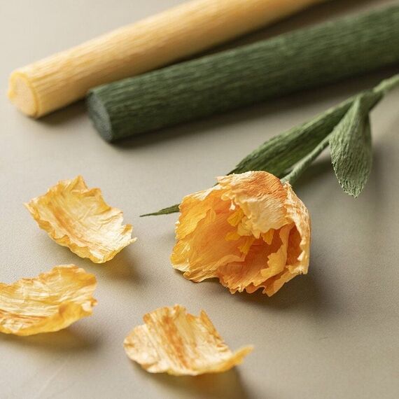 DIY Kit - Crepe paper, 1 set (977534) / Toys