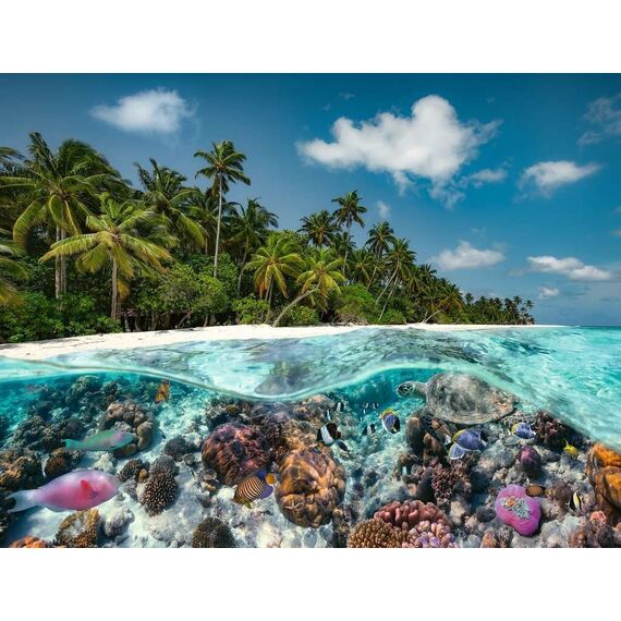Ravensburger - A Dive In The Maldives 2000p - (10217441) / Toys