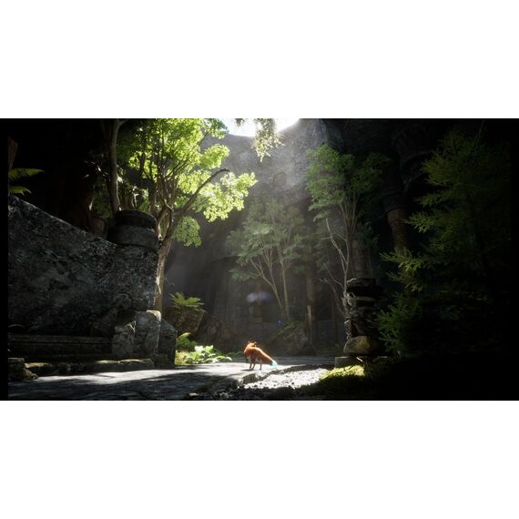 Spirit of the North 2 / PlayStation 5 | Techbox