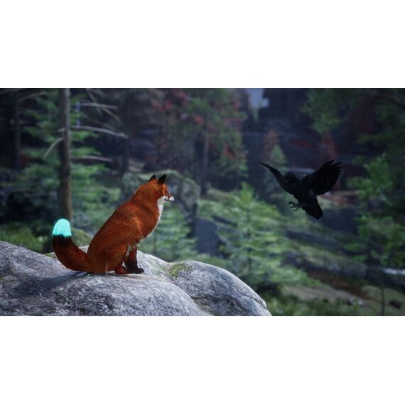 Spirit of the North 2 / PlayStation 5 | Techbox