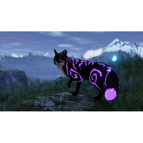 Spirit of the North 2 / PlayStation 5 | Techbox