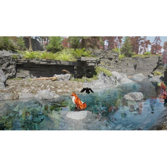 Spirit of the North 2 / PlayStation 5 | Techbox