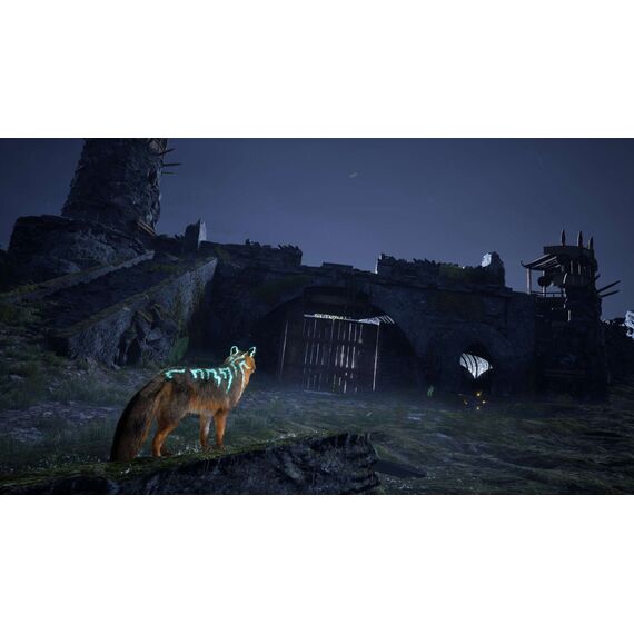 Spirit of the North 2 / PlayStation 5 | Techbox