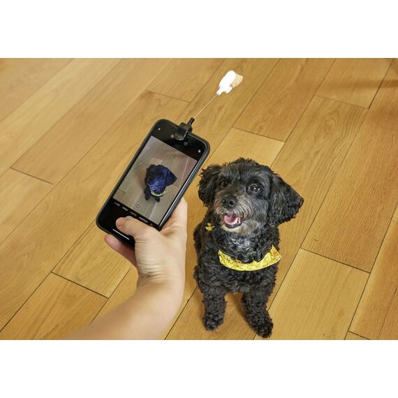 Dog Treat Selfie Clip (DIG01) / Gadgets
