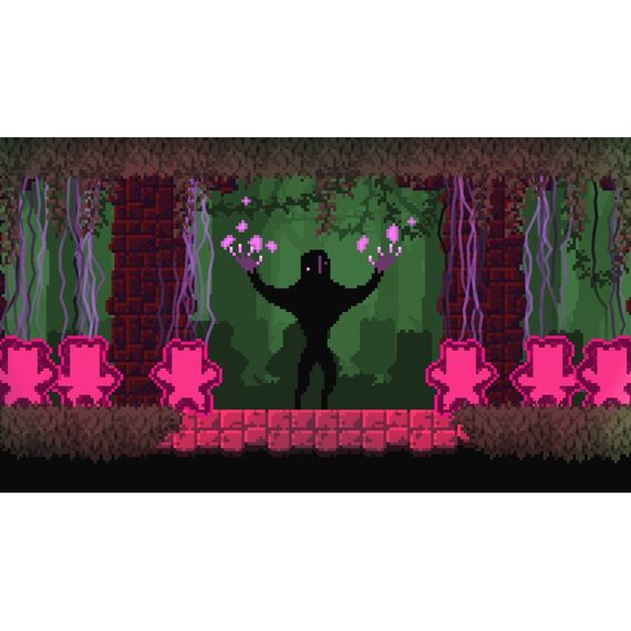 Dunjungle - Premium Edition / Nintendo Switch - Nintendo Switch Games - Games - Techbox