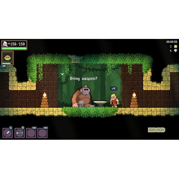 Dunjungle - Premium Edition / Nintendo Switch - Nintendo Switch Games - Games - Techbox