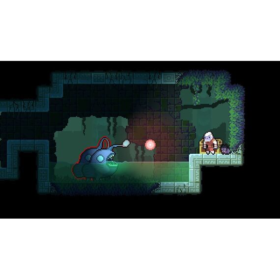 Dunjungle - Premium Edition / Nintendo Switch - Nintendo Switch Games - Games - Techbox