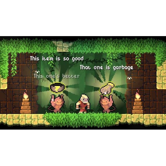 Dunjungle - Premium Edition / Nintendo Switch - Nintendo Switch Games - Games - Techbox