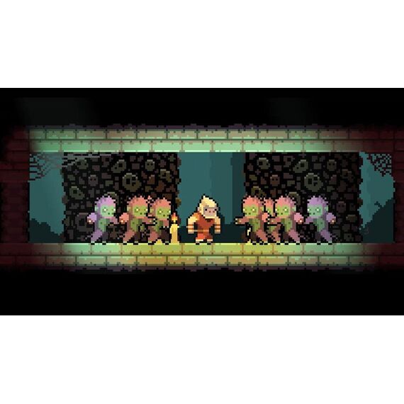 Dunjungle - Premium Edition / Nintendo Switch - Nintendo Switch Games - Games - Techbox