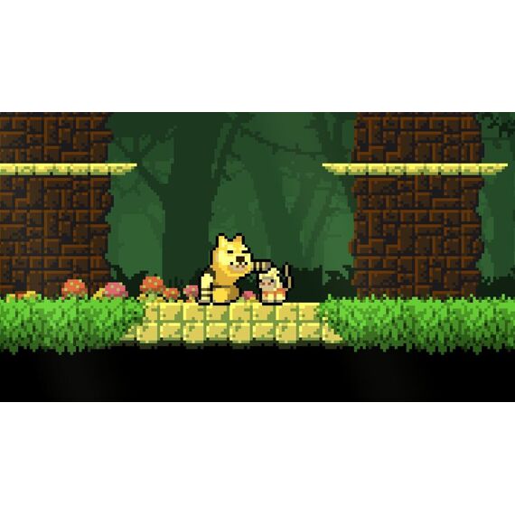 Dunjungle - Premium Edition / Nintendo Switch - Nintendo Switch Games - Games - Techbox