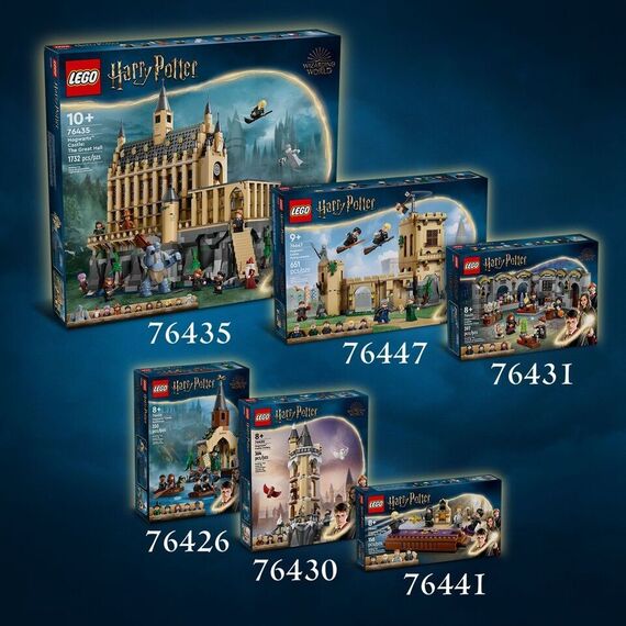 LEGO - Harry Potter TM - Hogwarts Castle: Charms Class (76442) / Toys