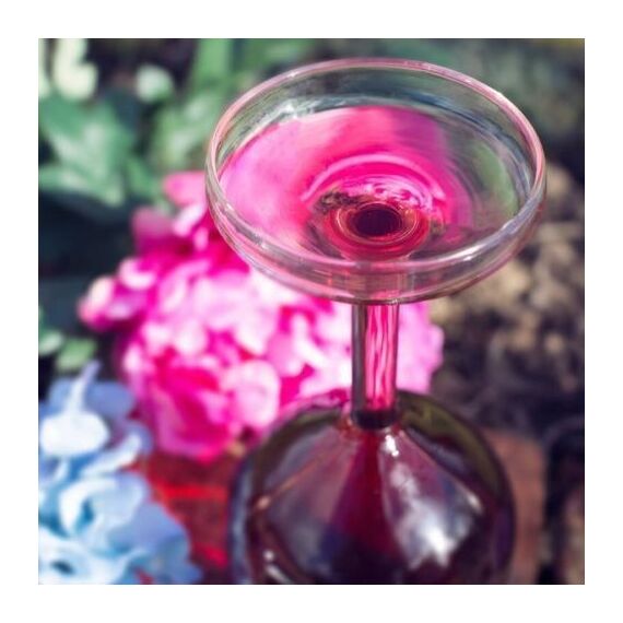 Winkee - Upside down Wine glass / Gadgets