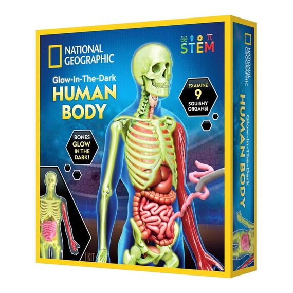 National Geographic - Human Body Science Kit (29-2454) / Toys