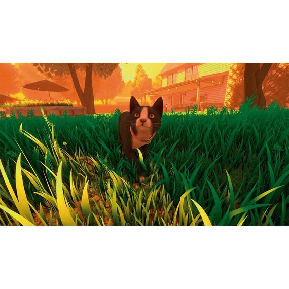 Copycat / PlayStation 5 - PS5 Games - Games - Techbox