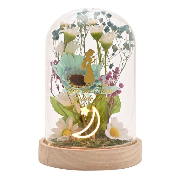 Disney Princess Jasmine florals in a clonche with neon light - Various - Various - Techbox