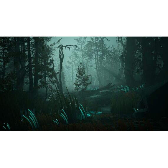 Pacific Drive / PlayStation 5 | Techbox