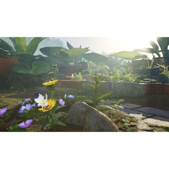 Pikmin 4 / Nintendo Switch | Techbox