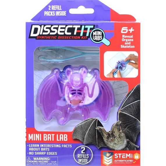 Sensory Compounds - Bat In Giftbox (12-38087) / Toys