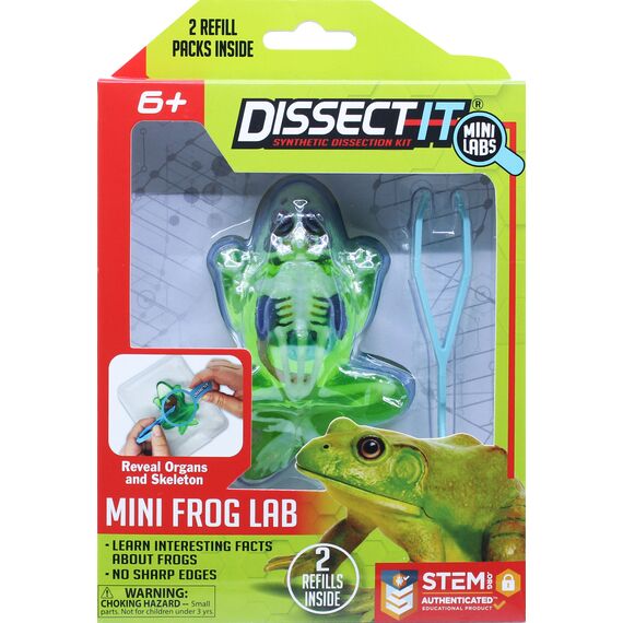 Sensory Compounds - Frog In Giftbox (12-38083) / Toys