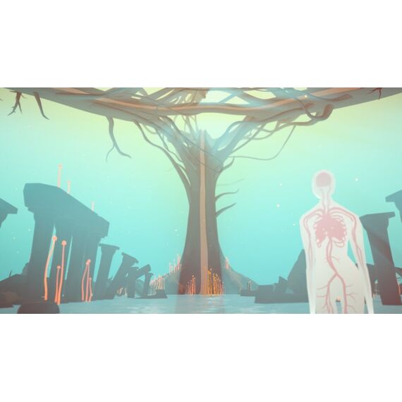Akupara Narrative Pack / Nintendo Switch - Nintendo Switch Games - Games - Techbox