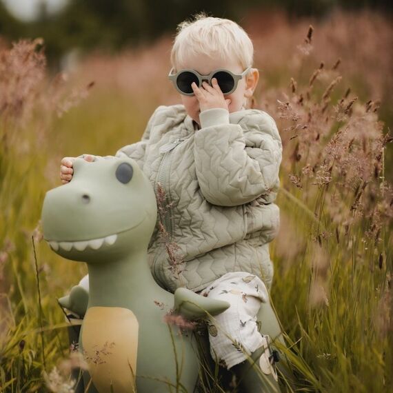 Find that hippo - Jumping animal - dinon (53100101) / Toys