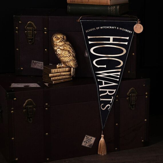 Harry Potter Hogwarts hanging banner