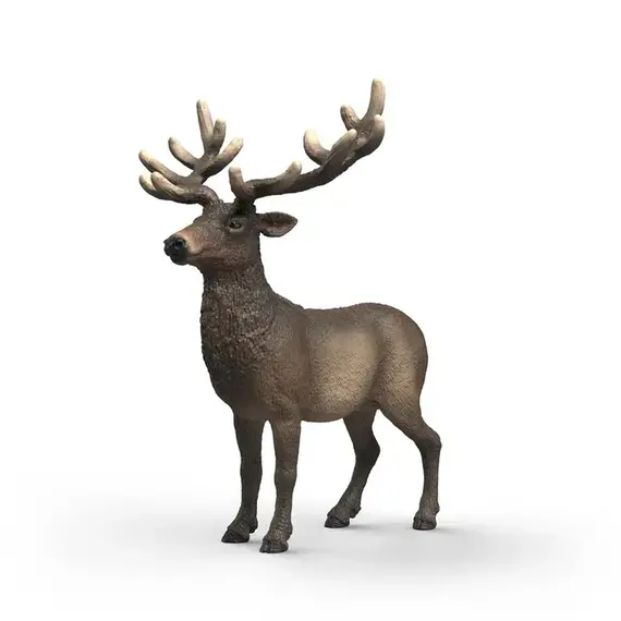 Schleich - Elk (14992) / Toys