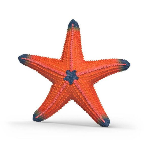 Schleich - Starfish with color change (14902) / Toys