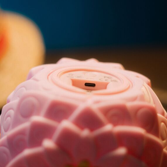One Piece Flower-Flower Fruit lamp - Figurines - Collectibles - Techbox