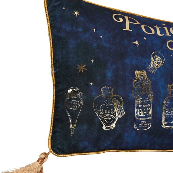 Harry Potter Potions Class velvet cushion