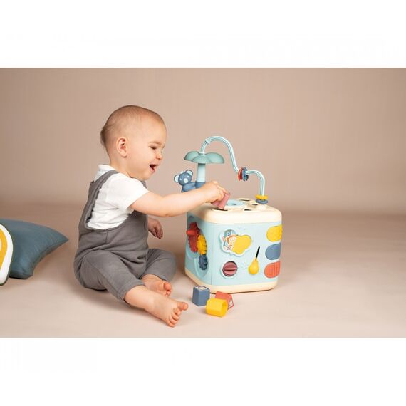 Smoby - Little Smoby Explor Cube (7600140306) / Toys