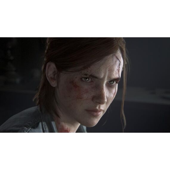 The Last of Us Part II (2) / PlayStation 4 | Techbox