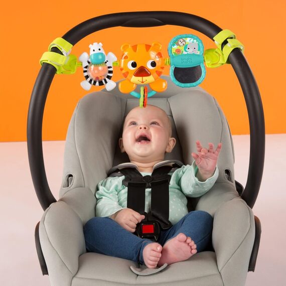 Bright Starts - Take Along Carrier Toy Bar (9005) / Toys