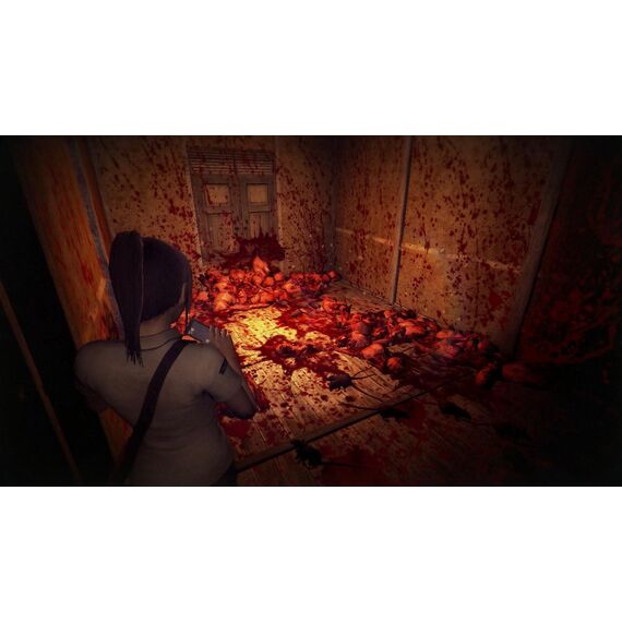 Dreadout Remastered Collection / PlayStation 5 - PS5 Games - Games - Techbox