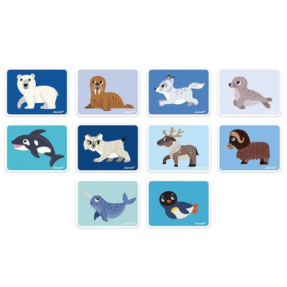 Janod - Magneti'Book - Polar Animals (LKJ2599) / Toys